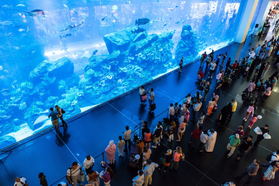 Families exploring the Dubai Aquarium, surrounded by a massive fish tank filled with colorful marine life