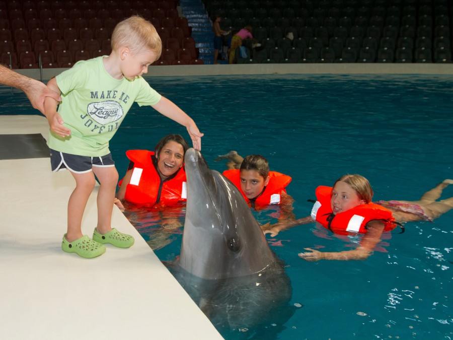 A boy interacts with a dolphin at the Dubai Dolphinarium, enjoying a fun and memorable experience in the aquarium