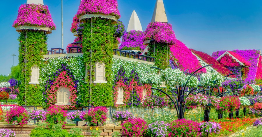 A stunning building surrounded by vibrant flowers and lush plants Dubai Miracle Garden