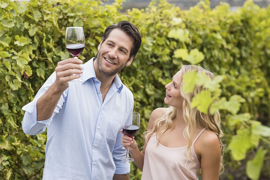 A man and woman toast with wine glasses in front of a scenic vineyard during a holiday wine tasting in Siena