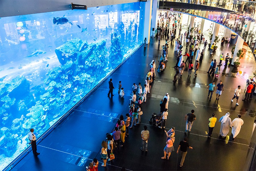 A group of people stands in front of the Dubai Aquarium, observing the diverse marine life within the large tank