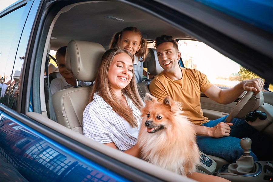 A family with their dog smiles inside a car, representing family-friendly vehicles in the UAE