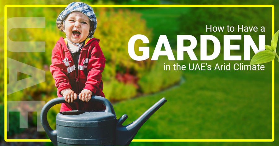 How to Have a Garden in the UAE's Arid Climate