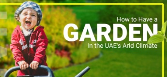 How to Have a Garden in the UAE's Arid Climate
